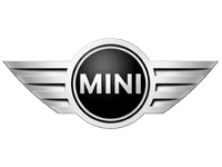 Mini Car Servicing